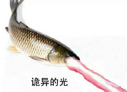 火出圈的“诡异的光”表情包合集来了