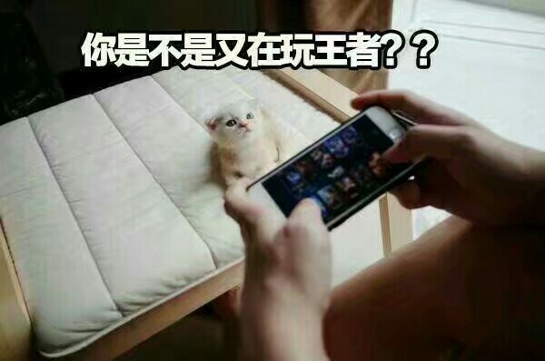 快醒醒！你是不是又躲在摸鱼玩王者？