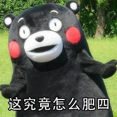 熊本熊版“怎么肥四”表情包合集来了