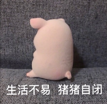 聊天斗图必备！猪猪表情包合集来啦