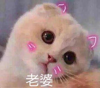 猫咪撒娇卖萌表情包合集来啦