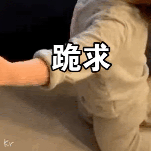 道歉和好能用的表情包合集