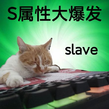 斗图神器！S属性大爆发表情包合集来啦