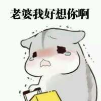 道歉向表情包合集：老婆原谅我吧，都是我的错