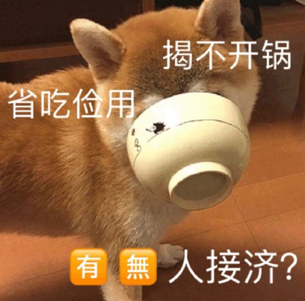 聊天斗图必备！这套可爱萌宠表情包太好用了