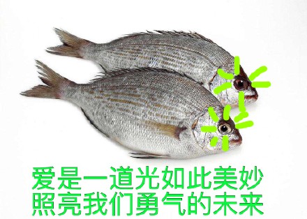 火出圈的“诡异的光”表情包合集来了