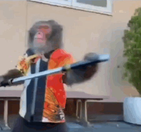 猴猴主题动图表情包合集来了