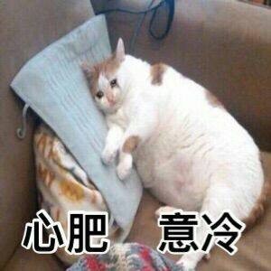 7月22日热门表情包原图合集来啦