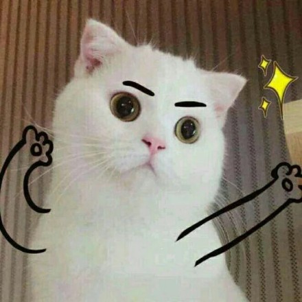 软萌猫咪表情包合集 聊天斗图都能用