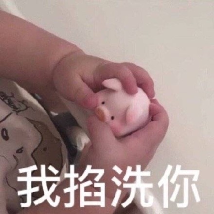 聊天斗图必备！猪猪表情包合集来啦