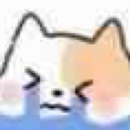 刷到就是赚到！这套高糊小猫表情包太适合斗图了