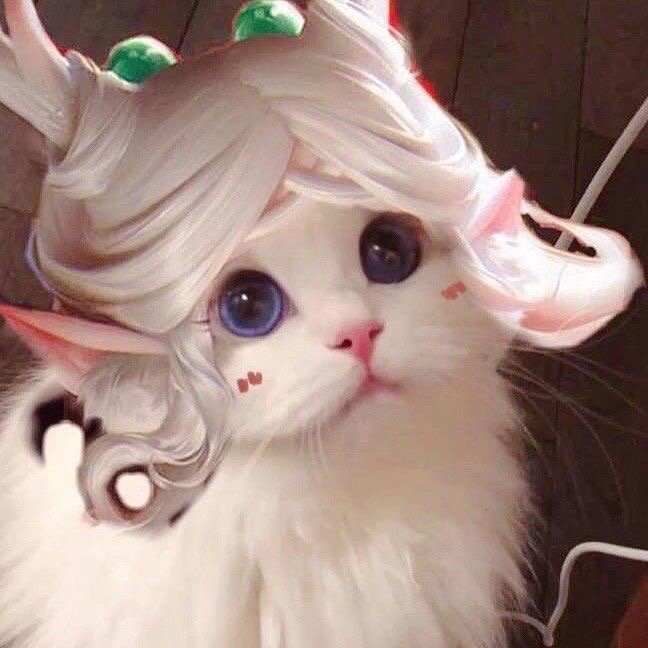 猫咪联名王者荣耀头像合集来啦