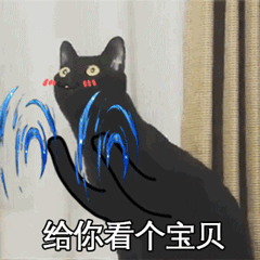 超火长颈黑猫动图表情包合集