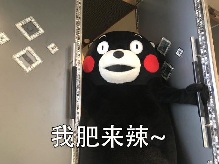 当然选择原谅了！这套熊本熊表情包火了