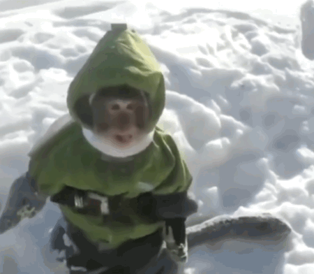 猴猴主题动图表情包合集来了