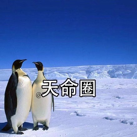 夏天进了安全区就来杯冰饮？这画面简直戳中所有人！