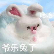 软萌治愈！棉花小兔羊毛毡动图表情包来啦