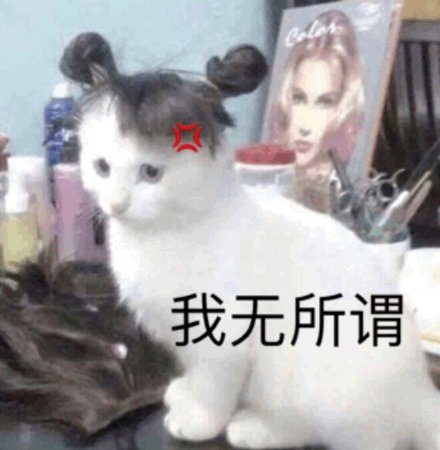 聊天斗图必备！这组猫咪狗子表情包太治愈了