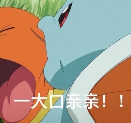 整理了一套杰龟尼表情包，斗图用得上