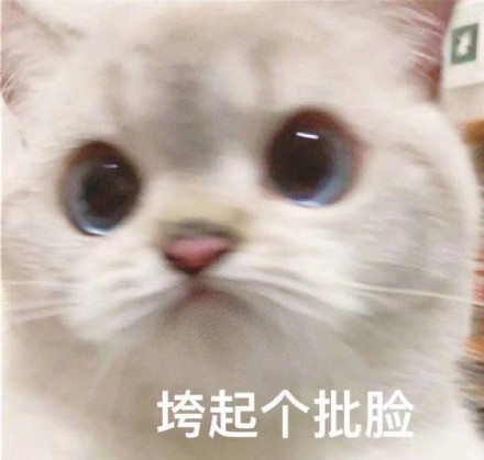 垮起个批脸表情包整理合集