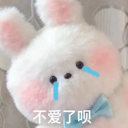 软萌又会整活！毛绒玩具玩偶表情包合集