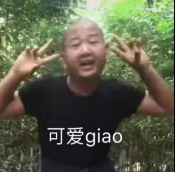 giao哥专属表情包合集来啦