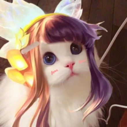 王者荣耀玩家专属！这套猫头头像太适配游戏社交了