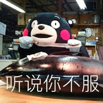 熊本熊版“人丑多看书”表情包来啦