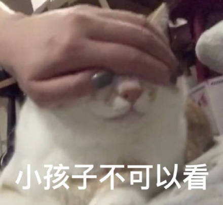 想找软乎乎的斗图素材？这套超萌喵星人表情包别错过