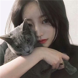 女生猫咪控专属QQ头像！11张高清有爱猫咪主题头像合集