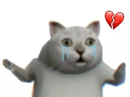 憨态拉满！Mur猫表情包合集来啦