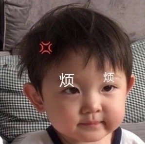 12月23日热门斗图表情包合集