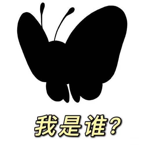 聊天斗图新梗！猜猜我是谁配上“恁蝶”的表情包火了
