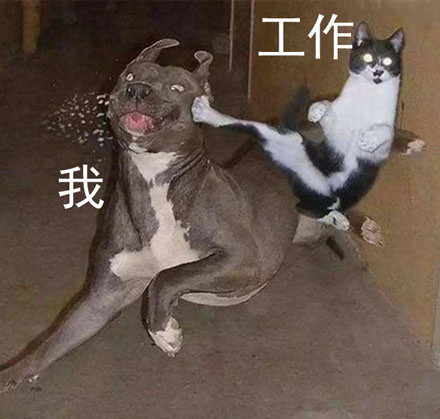 打工人、考试党同款！