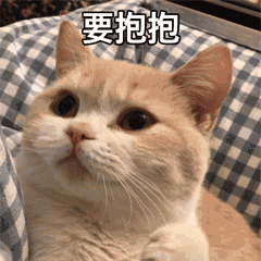 超治愈！可爱猫咪GIF动图表情包合集