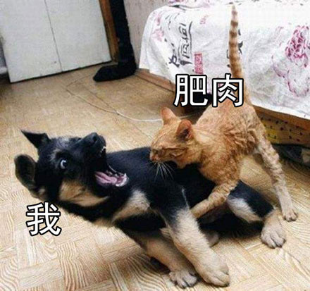 打工人、考试党同款！