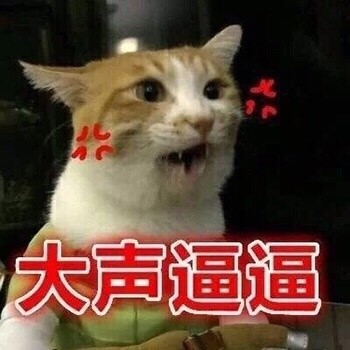 吵架没输过？这套生气猫咪表情包帮你拿捏情绪