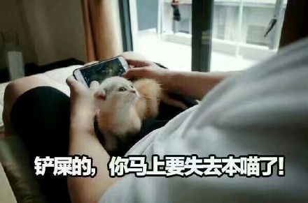 快醒醒！你是不是又躲在摸鱼玩王者？