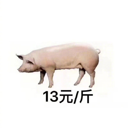 到的对比表情包合集来了