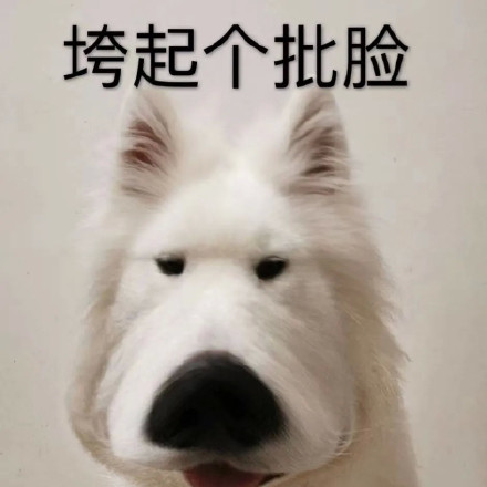 垮起个批脸表情包整理合集