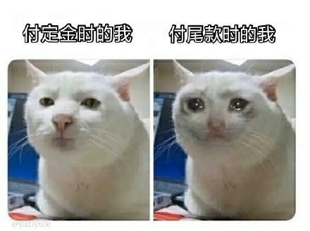 双十一尾款人专属表情包来啦，一起加油扛过尾款期！