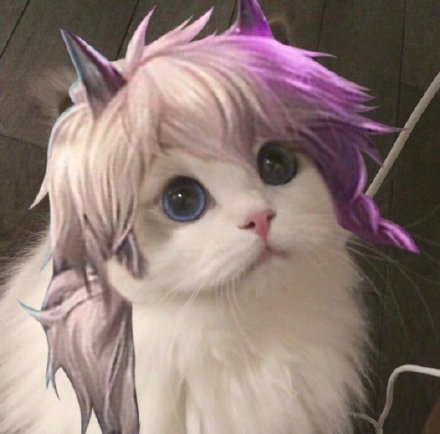 猫咪联名王者荣耀头像合集来啦