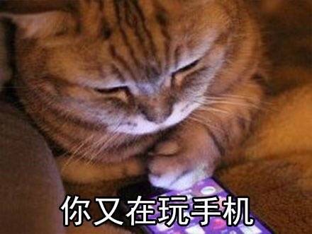 暑假在家的真实日常，这套表情包精准戳中你了吗