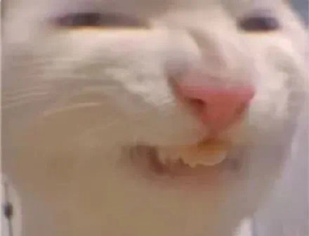 聊天不用打字？这套无字表情包火了