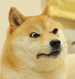 斗图常备！神烦柴犬表情包合集来了