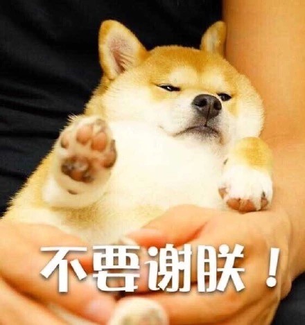 狗狗版拒绝表情包合集来啦