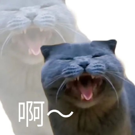 聊天斗图必备！这套带“啊”字的猫咪表情包太好用了