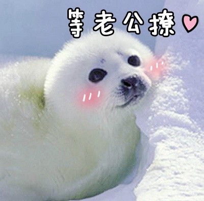 给老公发的撒娇表情包合集