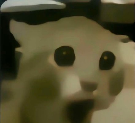 超火神经猫猫表情包合集