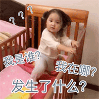 小刚几动态表情包，软萌又可爱